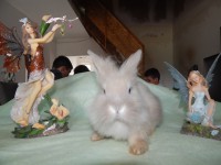 /album/bebes-de-kayla/dscn2422-jpg/